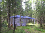  Конференц-зал в лесу