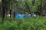 Палаточный городок в лесу